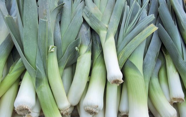cold-hardy-vegetables